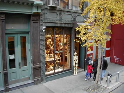 Evolution Store<br>Location: <a href="https://www.google.com/maps/search/?api=1&query=40.72366,-74.00003" target="_new">New York City Tour, Spring St between Greene St and Mercer St</a>
